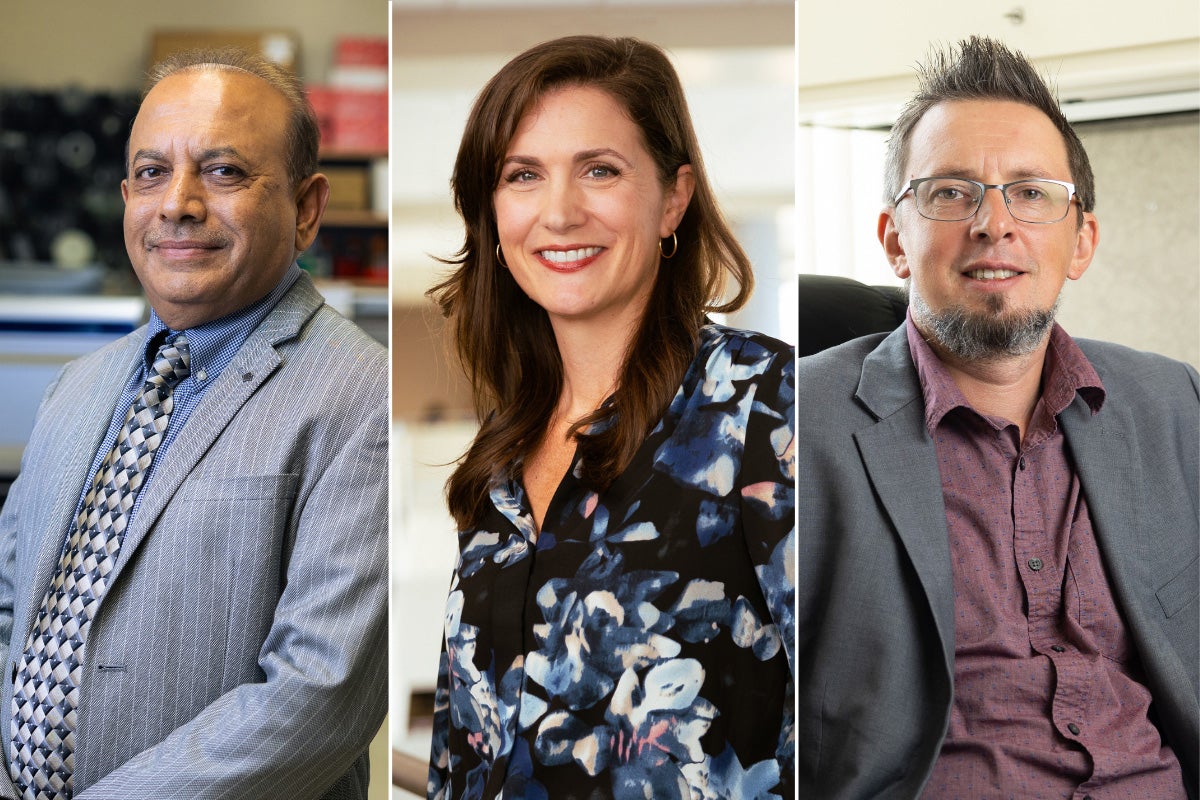 A collage of Dinender Singla, Nichole Lighthall and Vladimir Boginski are recipients of UCF's Office of Research faculty fellowships.